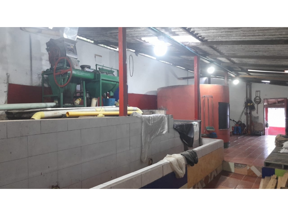 VENDO FINCA DE 50 CUADRAS PARA GANADERÍA Y CON CAFÉ EN CONCORDIA - 4