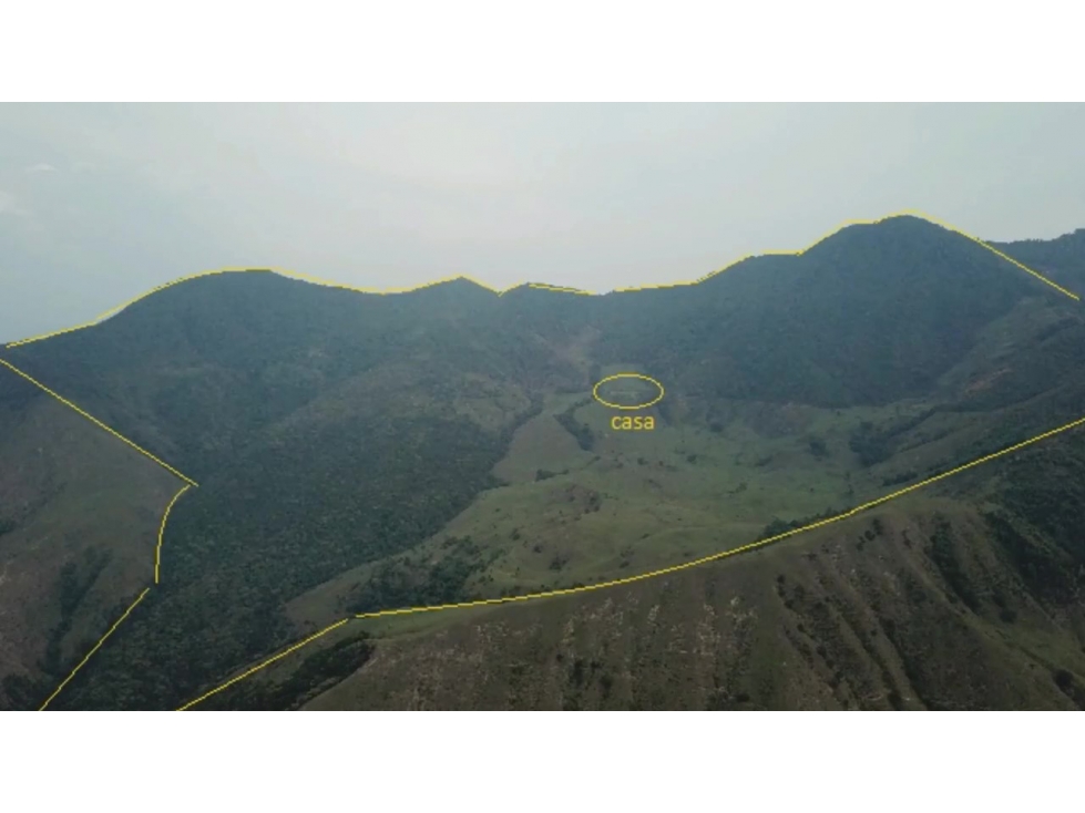VENDO FINCA DE 400 HECTÁREAS PARA CULTIVOS Y GANADERÍA EN BETULIA - 2