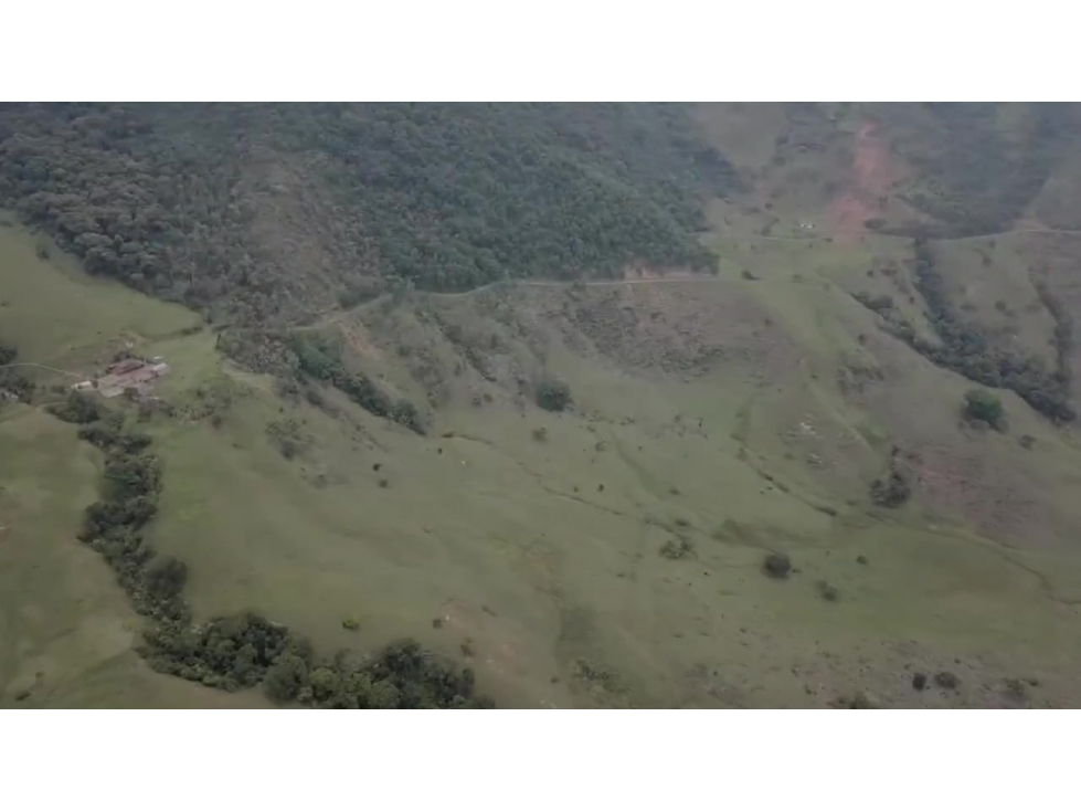 VENDO FINCA DE 400 HECTÁREAS PARA CULTIVOS Y GANADERÍA EN BETULIA - 3