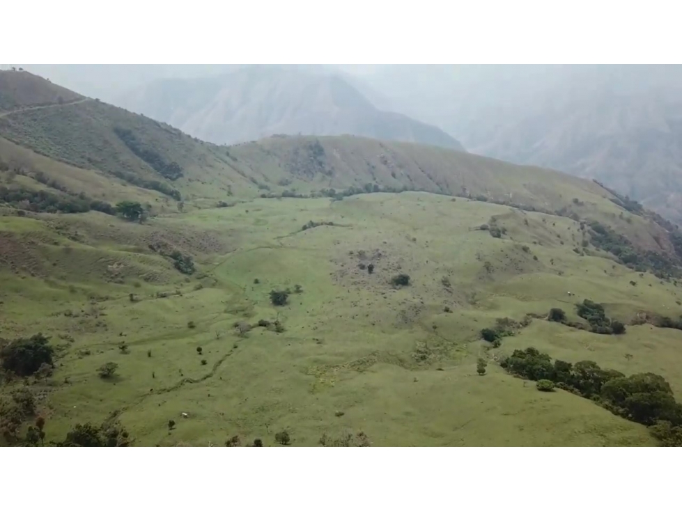 VENDO FINCA DE 400 HECTÁREAS PARA CULTIVOS Y GANADERÍA EN BETULIA - 4