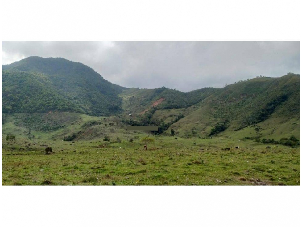 VENDO FINCA DE 400 HECTÁREAS PARA CULTIVOS Y GANADERÍA EN BETULIA - 5