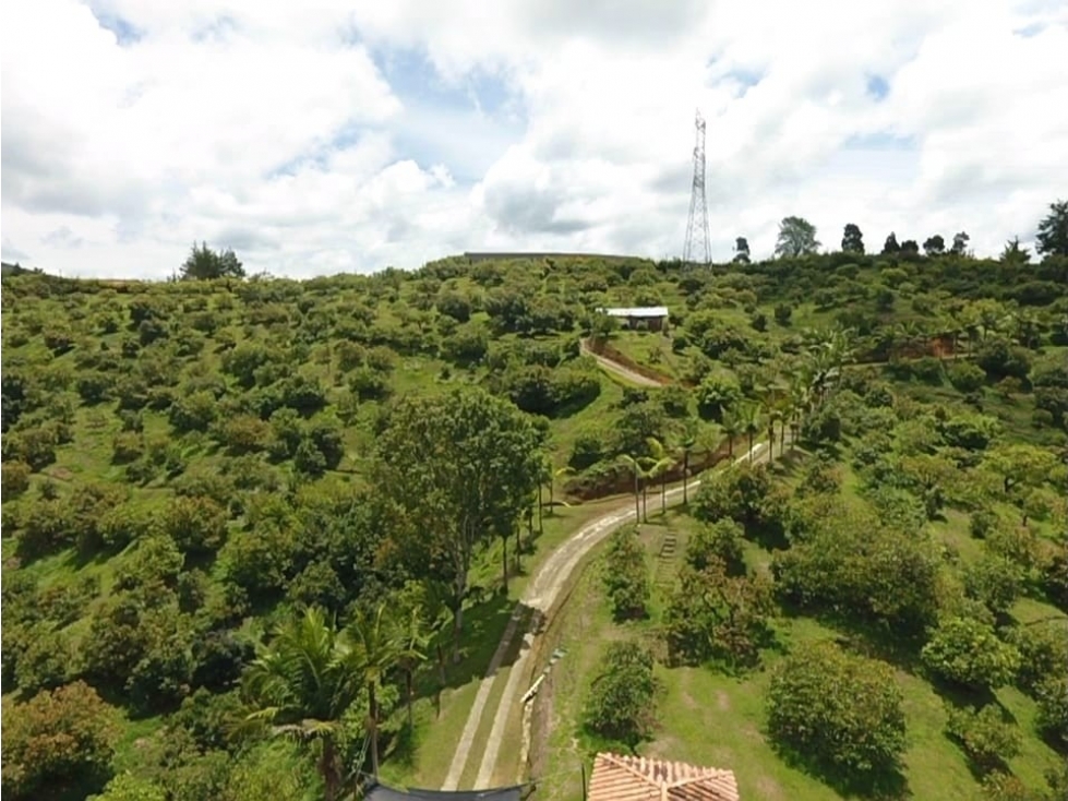 VENDO FINCA DE 62.700 m² PARA CULTIVOS SAN VICENTE FERRER ANTIOQUIA — foto 3