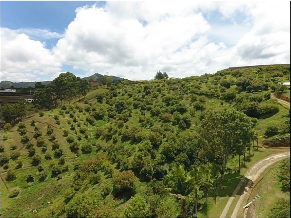 VENDO FINCA DE 62.700 m² PARA CULTIVOS SAN VICENTE FERRER ANTIOQUIA — foto 6