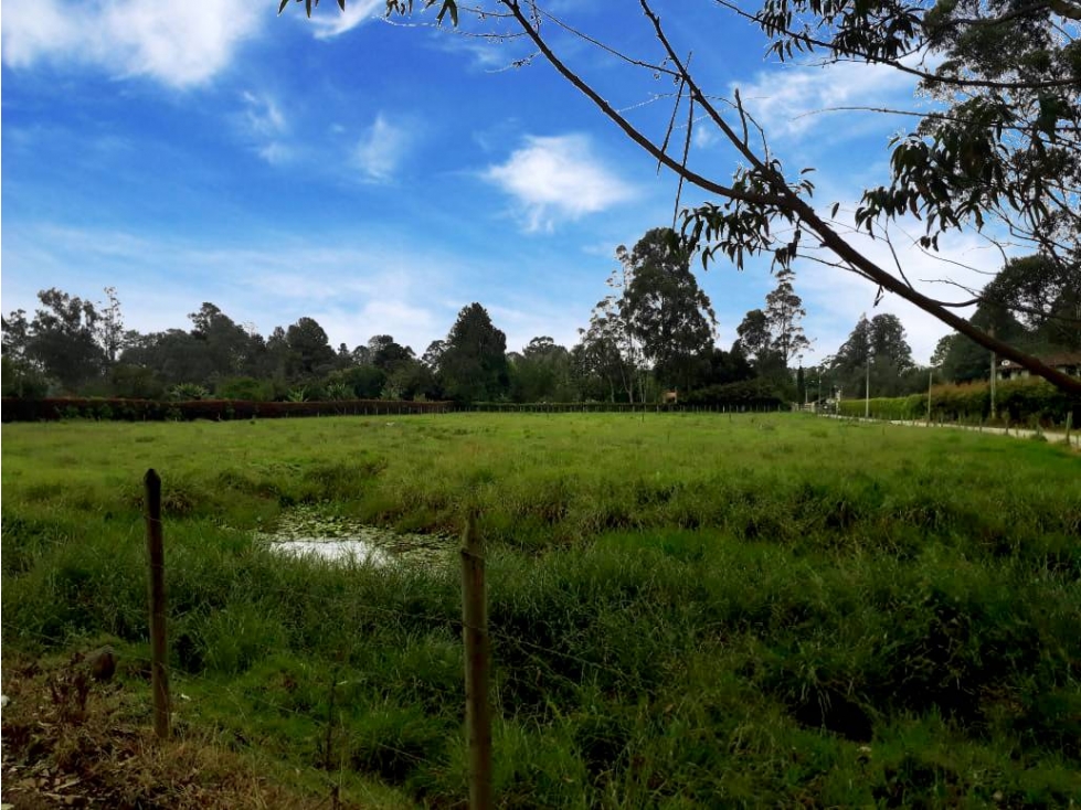 VENDO LOTE PLANO A BORDO DE VÍA EN EL MEJOR SECTOR DE LLANOGRANDE — foto 2