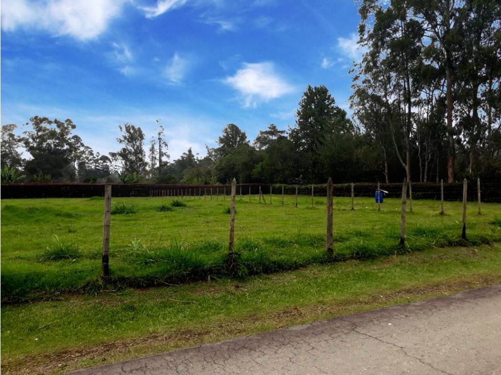 VENDO LOTE PLANO A BORDO DE VÍA EN EL MEJOR SECTOR DE LLANOGRANDE — foto 3