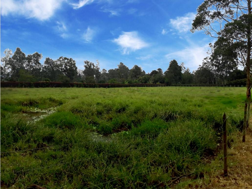 VENDO LOTE PLANO A BORDO DE VÍA EN EL MEJOR SECTOR DE LLANOGRANDE — foto 4