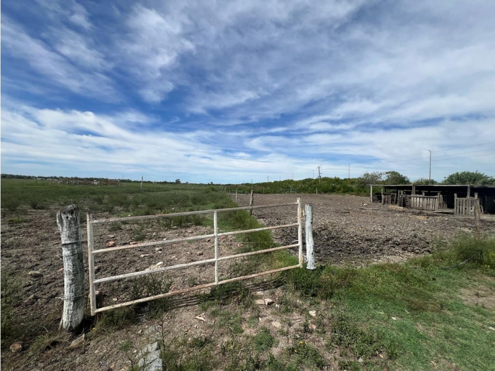 Terreno en venta en Berisso - 1