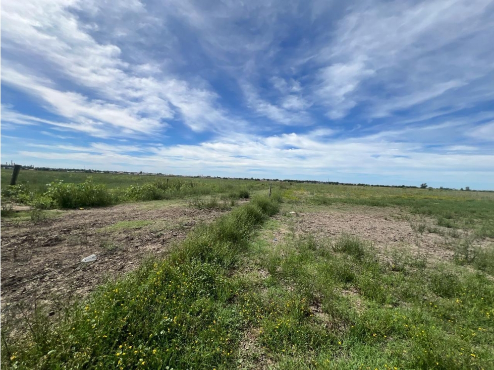 Terreno en venta en Berisso - 5