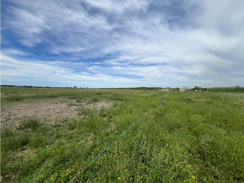 Terreno en venta en Berisso - 6