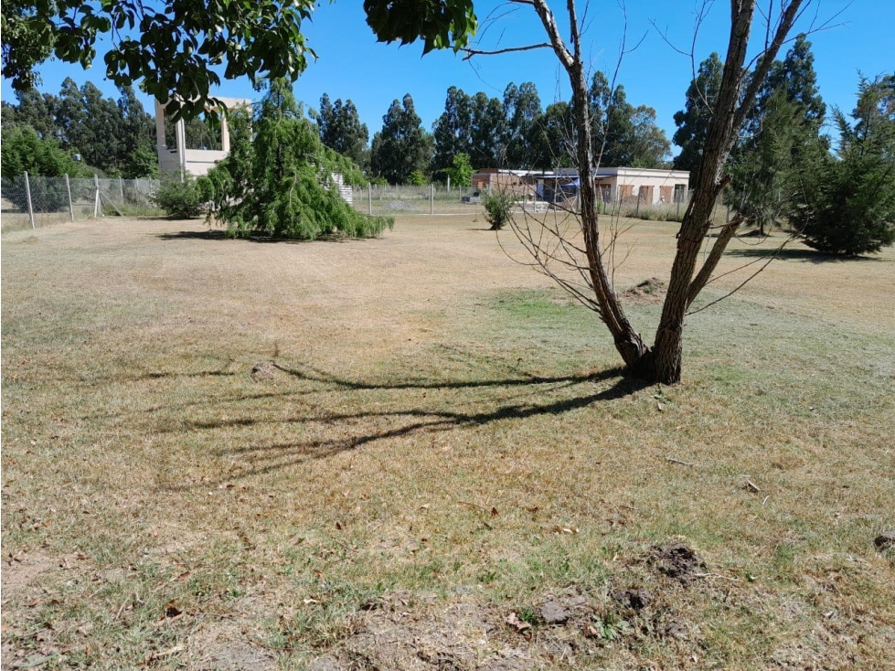 Terreno en venta en Los aromos - 5