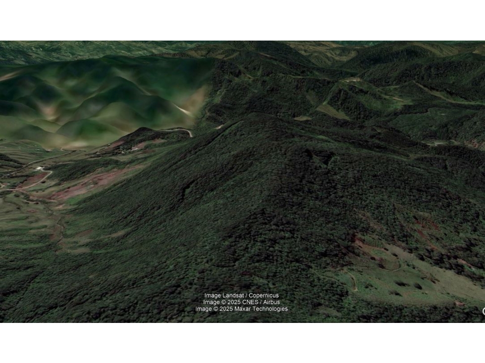 VENDO FINCA / LOTE DE 15 HECTÁREAS DE BOSQUE EN EL CARMEN DE VIBORAL — foto 3