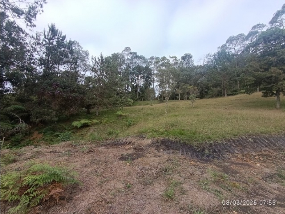 VENDO LOTE EN ENVIGADO SECTOR LA CATEDRAL DE 8.776 m² EN PARCELACIÓN — foto 6