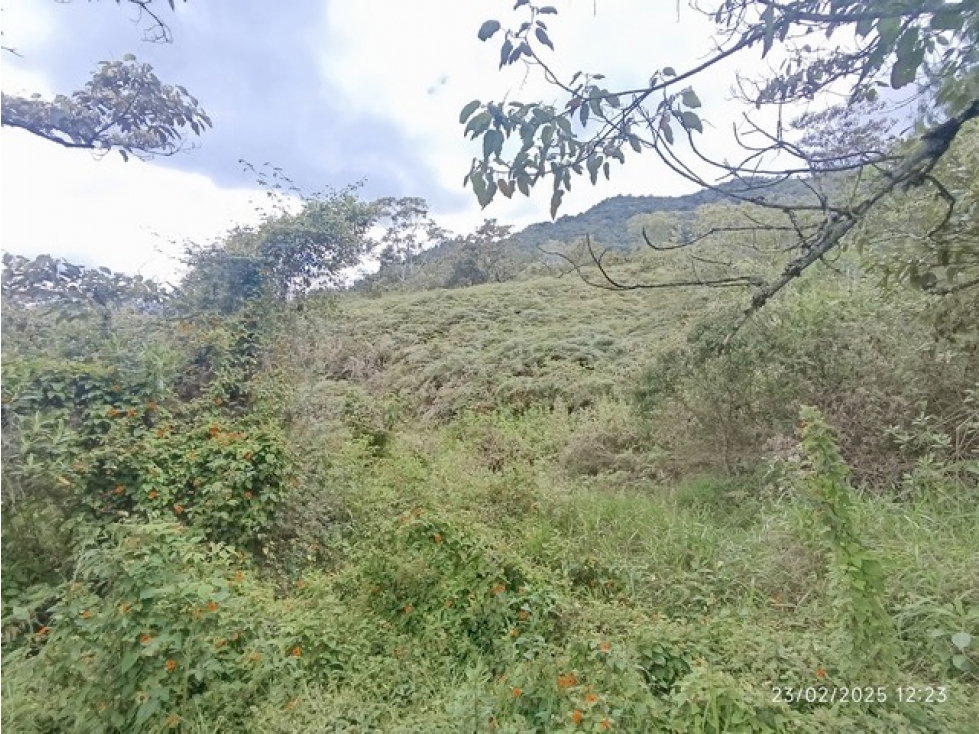 VENDO LOTE DE 10.000 m² EN PARCELACIÓN EL YARUMO EN LA CEJA ANTIOQUIA — foto 5