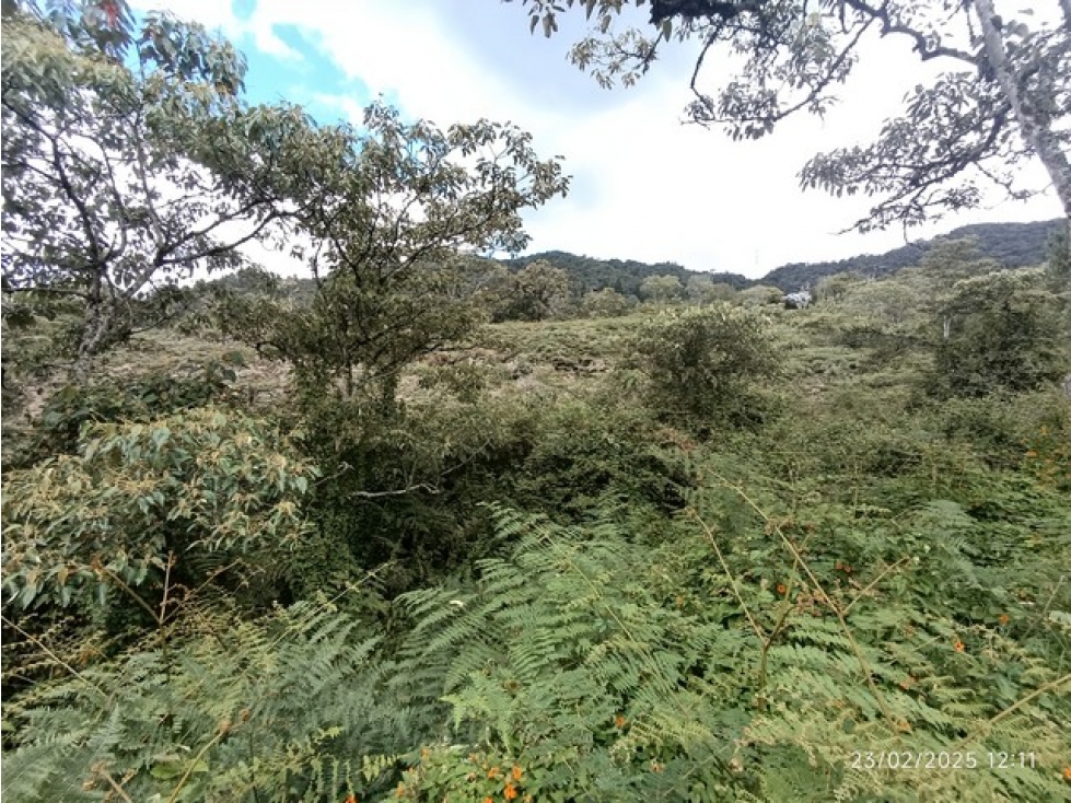 VENDO LOTE DE 10.000 m² EN PARCELACIÓN EL YARUMO EN LA CEJA ANTIOQUIA — foto 6