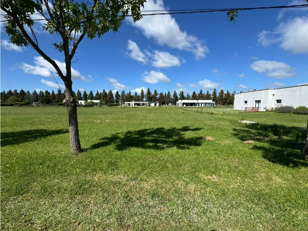 Terreno en Campo de Roca 2 - 4
