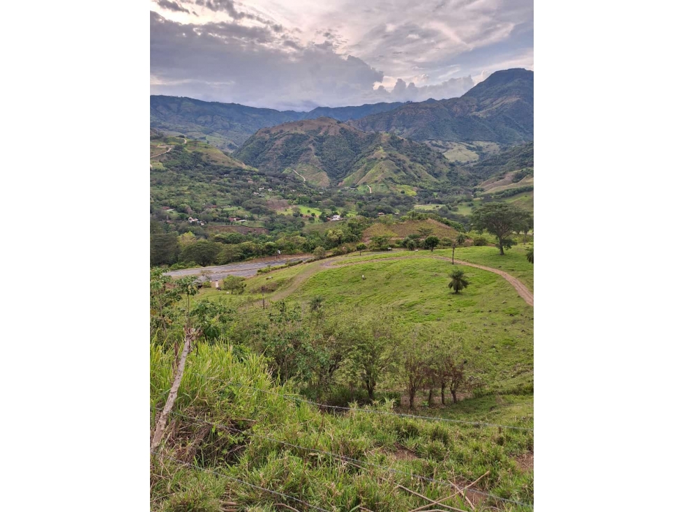 VENDO FINCA EN BOLOMBOLO VENECIA SUROESTE DE ANTIQUIA DE 120 CUADRAS — foto 5