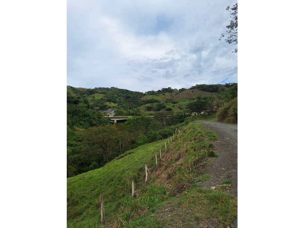 VENDO FINCA EN BOLOMBOLO VENECIA SUROESTE DE ANTIQUIA DE 120 CUADRAS — foto 6