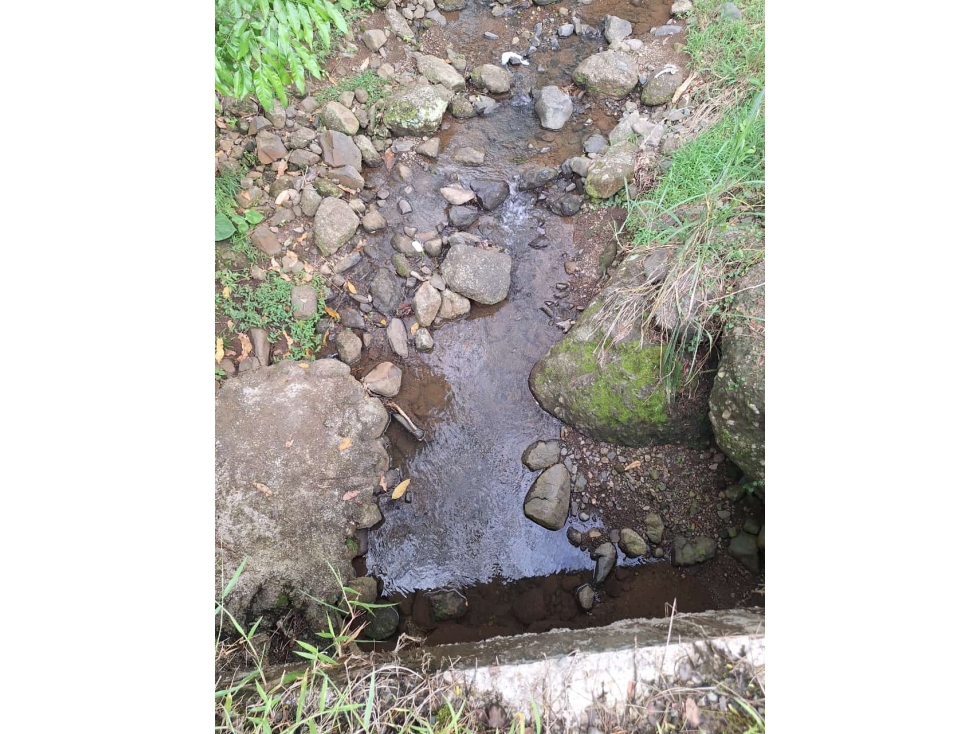VENDO FINCA LOTE EN BOLOMBOLO VENECIA SUROESTE ANTIOQUEÑO 40 CUADRAS — foto 2