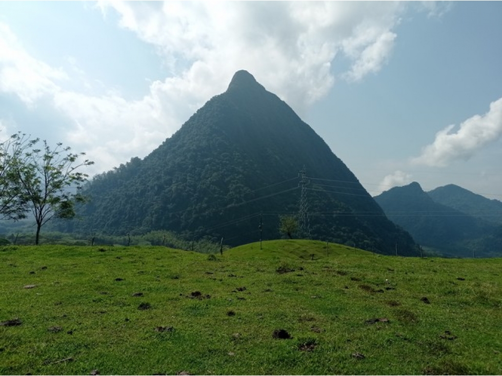 VENDO FINCA EN VENECIA SUROESTE ANTIOQUEÑO CON VISTA A CERRO TUSA — foto 2