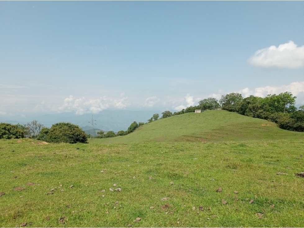 VENDO FINCA EN VENECIA SUROESTE ANTIOQUEÑO CON VISTA A CERRO TUSA — foto 3
