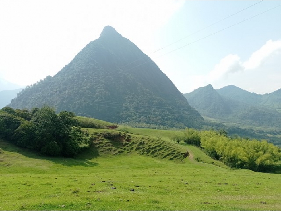 VENDO FINCA EN VENECIA SUROESTE ANTIOQUEÑO CON VISTA A CERRO TUSA — foto 6
