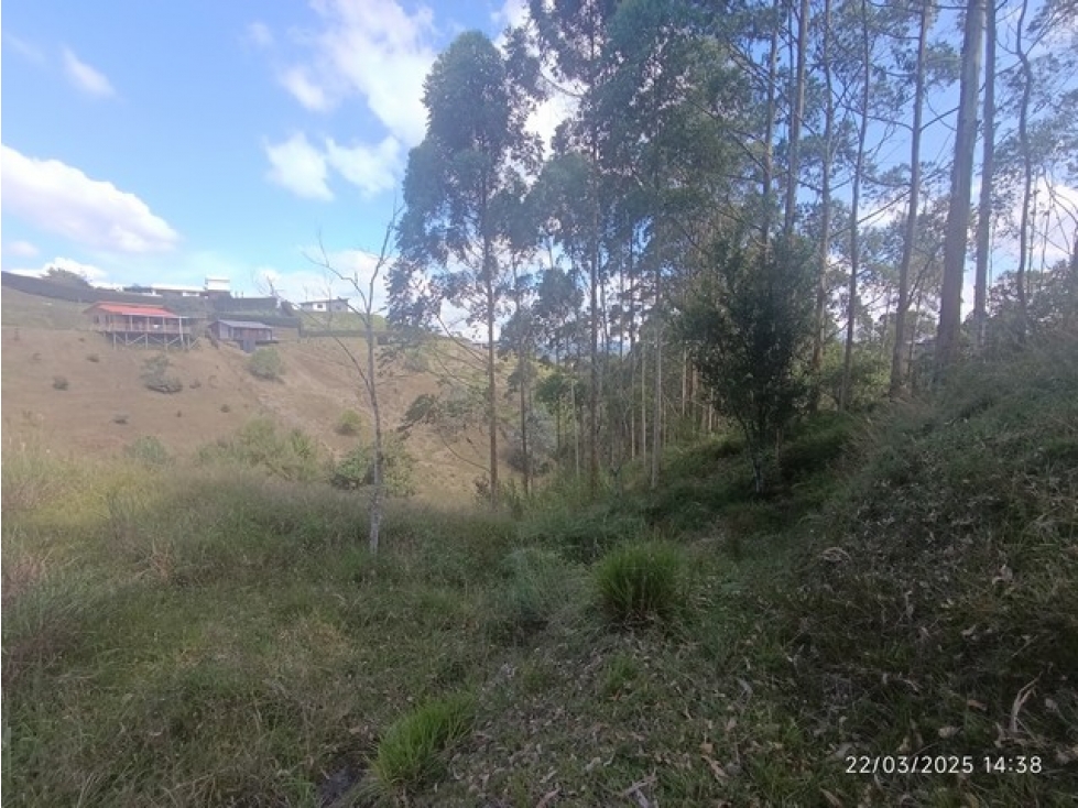 VENDO LOTE EN SECTOR ALTO DE LA COMPAÑIA EN SAN VICENTE DE FERRER — foto 4