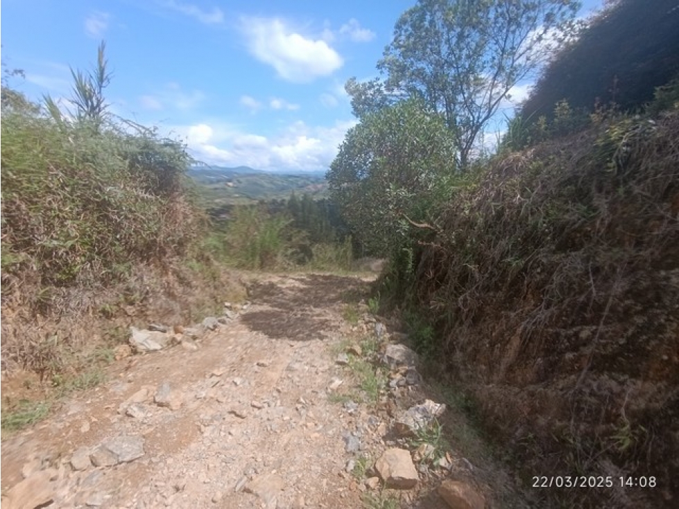 VENDO LOTE EN SAN VICENTE DE FERRER PARA SUBDIVIDIR O CONTRUIR FINCA — foto 3