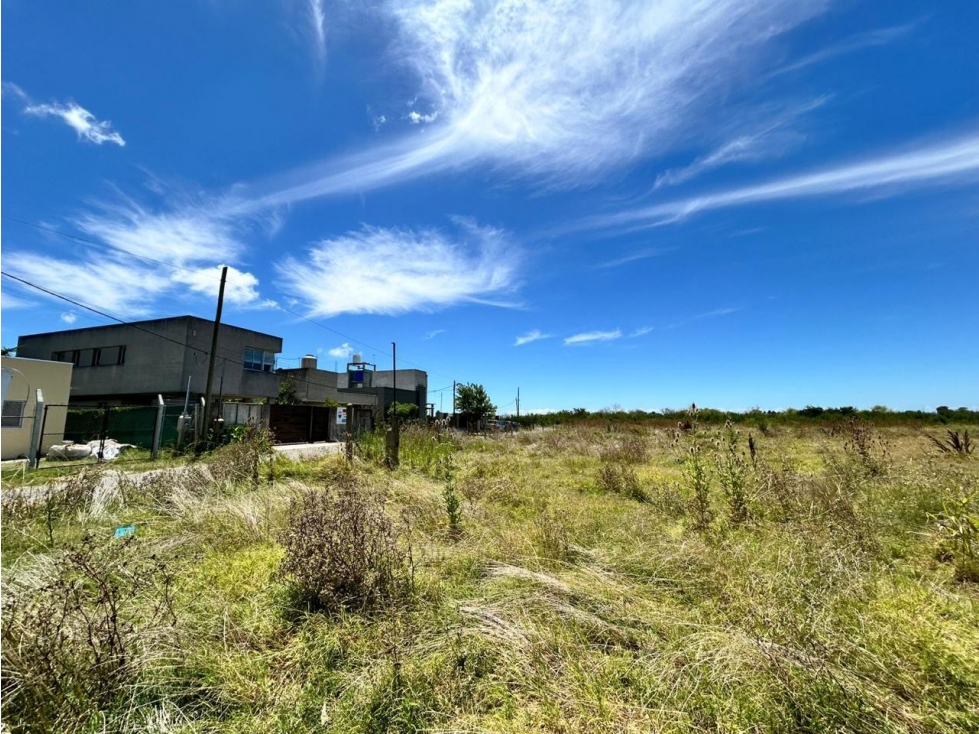 Terreno de 5000ms2 en venta con financiación en Manuel B Gonnet - 2