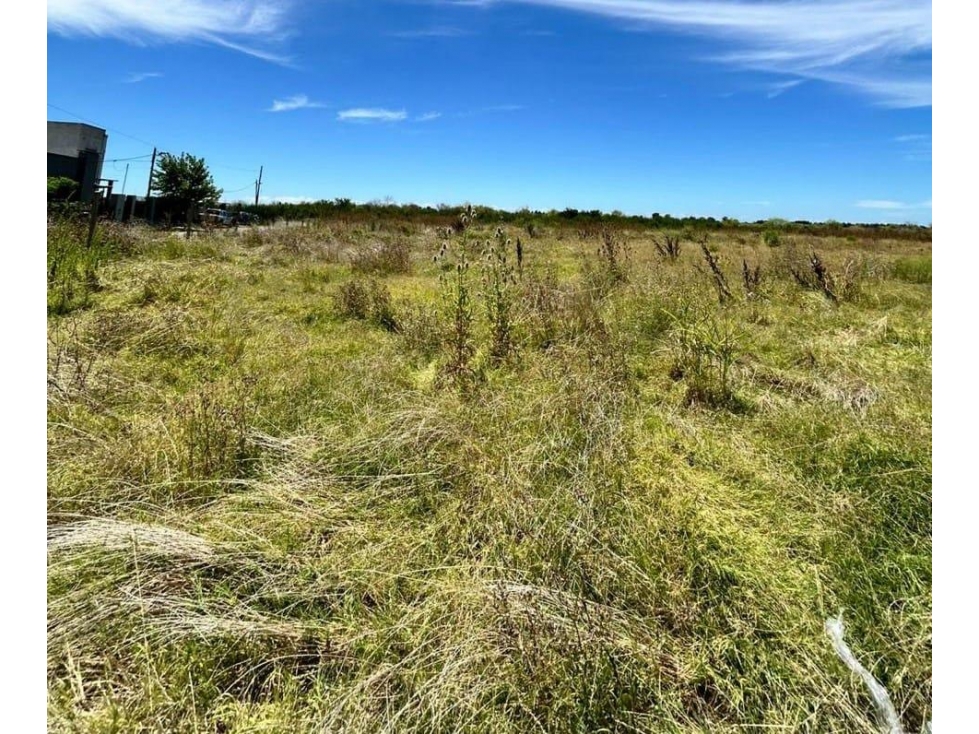 Terreno de 5000ms2 en venta con financiación en Manuel B Gonnet - 3