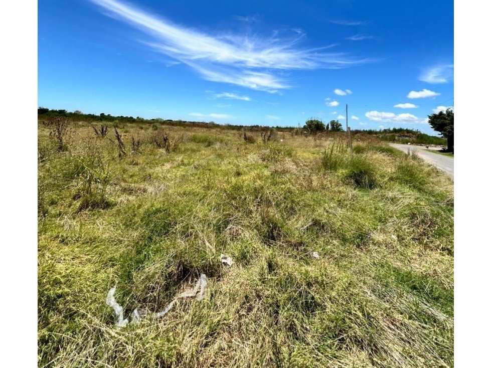 Terreno de 5000ms2 en venta con financiación en Manuel B Gonnet - 4