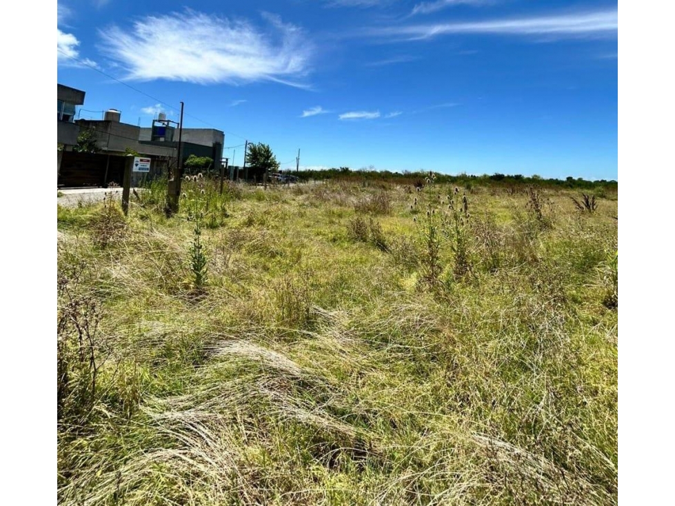 Terreno de 5000ms2 en venta con financiación en Manuel B Gonnet - 5