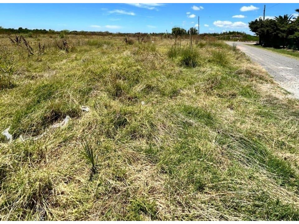 Terreno de 5000ms2 en venta con financiación en Manuel B Gonnet - 6