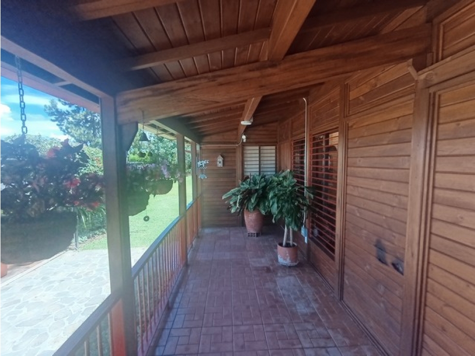 VENDO FINCA EN LA VEREDA SAN NICOLÁS EN LA CEJA ANTIIOQUIA | 10.000 m² — foto 3