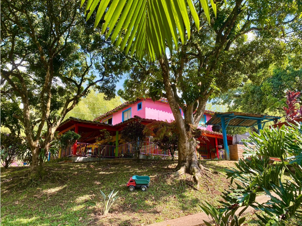 VENTA DE FINCA EN AMAGA - 5