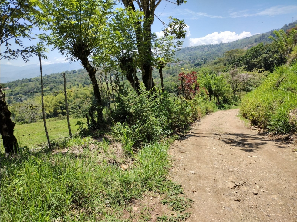 VENDO LOTE EN VALPARAISO CERCA AL PUEBLO DE 10.000 m² TOPOGRAFIA PLANA — foto 6