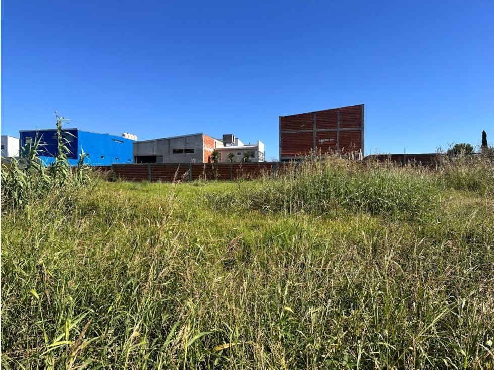 Terreno venta - 6