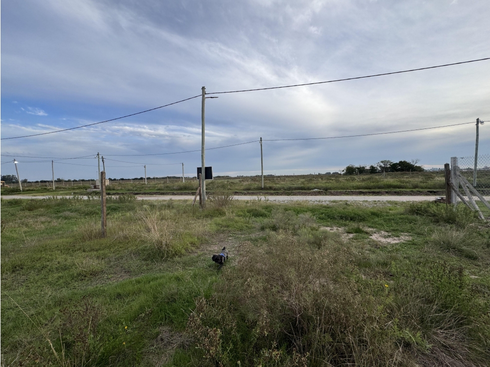 Lote en venta en Siempre verde - 1