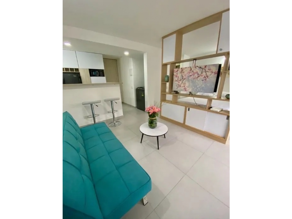 APARTAESTUDIO EN VENTA EN LA FLORA DC 10223123