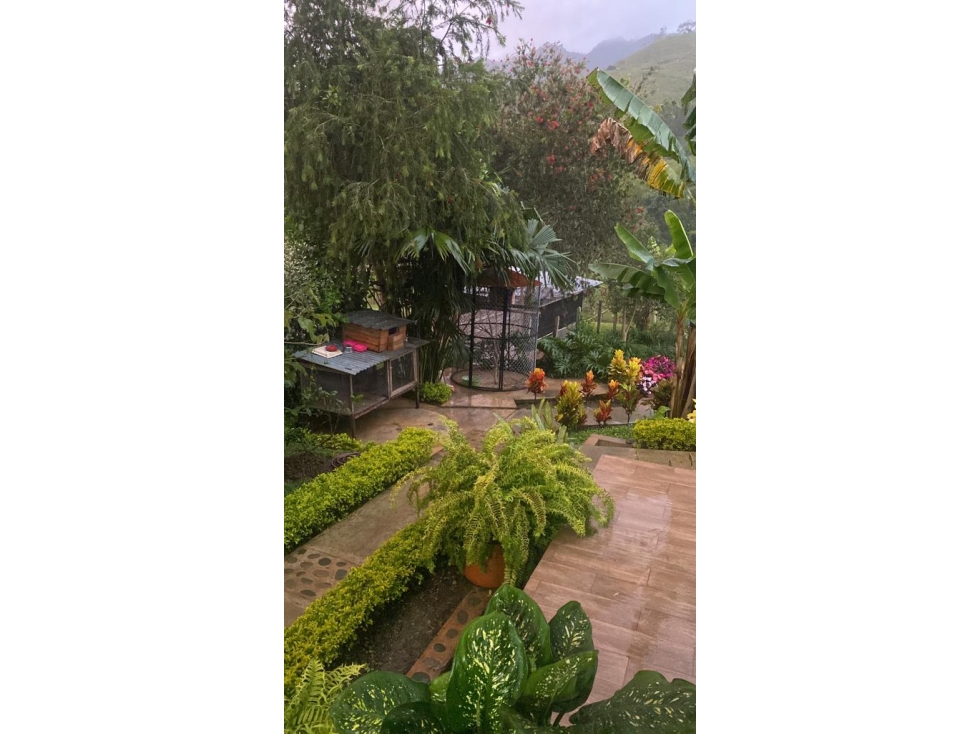 SE VENDE FINCA EN DAGUA - TOCOTA DC 10223090 — foto 4