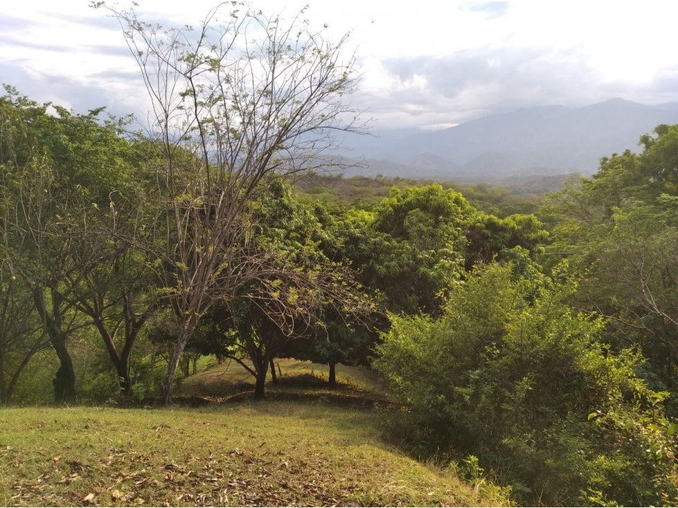 SE VENDE LOTE EN VIA SOPETRAN - OLAYA