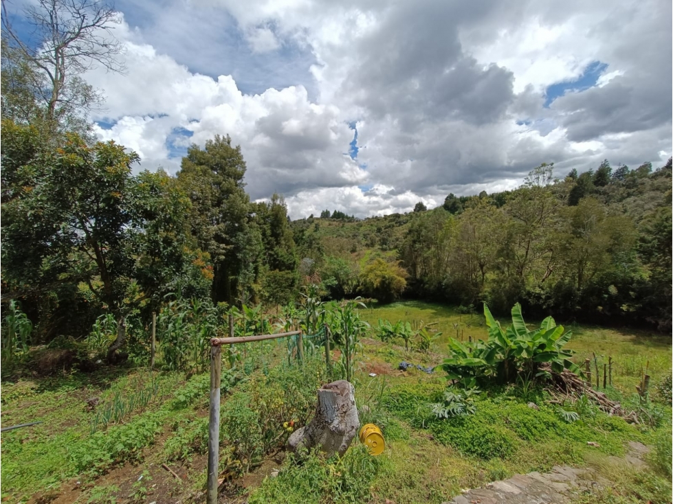 SE VENDE FINCA EN GUARNE — foto 5
