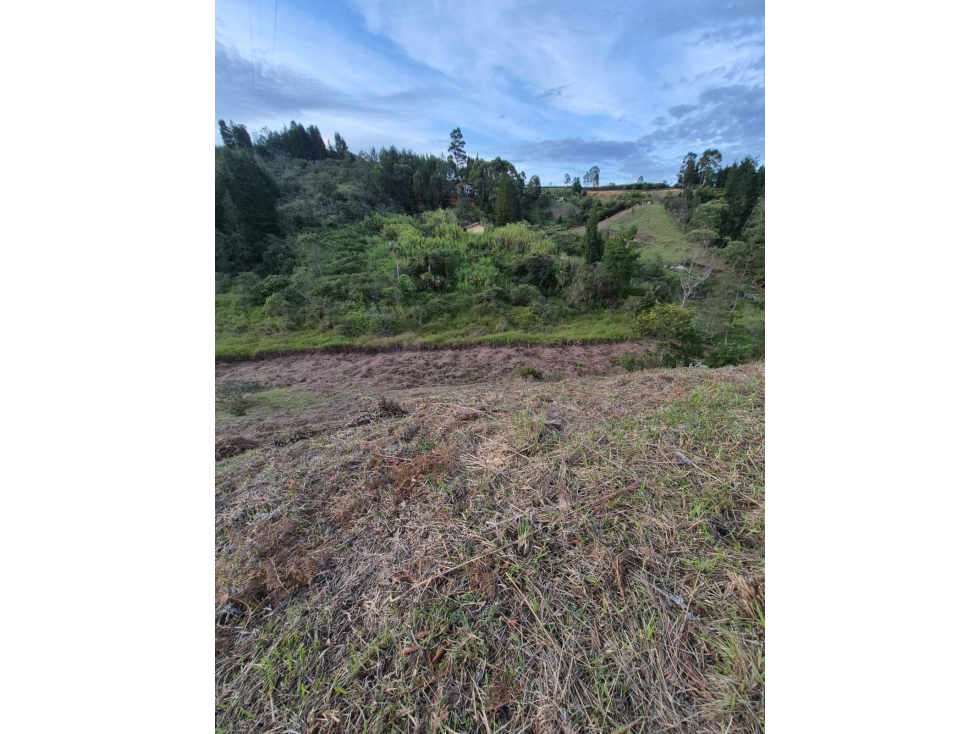 SE VENDE LOTES EN GUARNE VEREDA HOJAS ANCHAS — foto 6