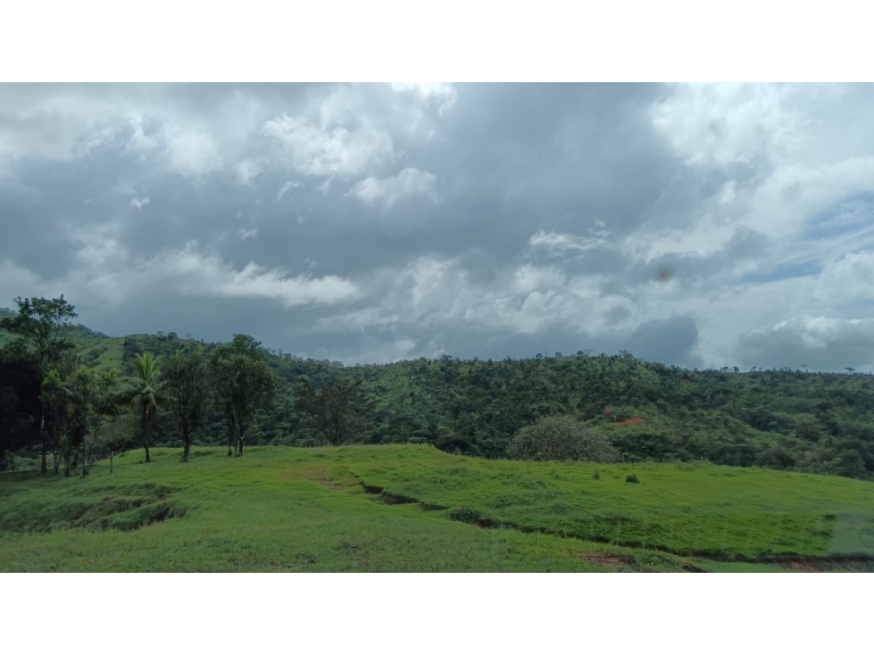Venta de Terreno en Torio, Veraguas - 3