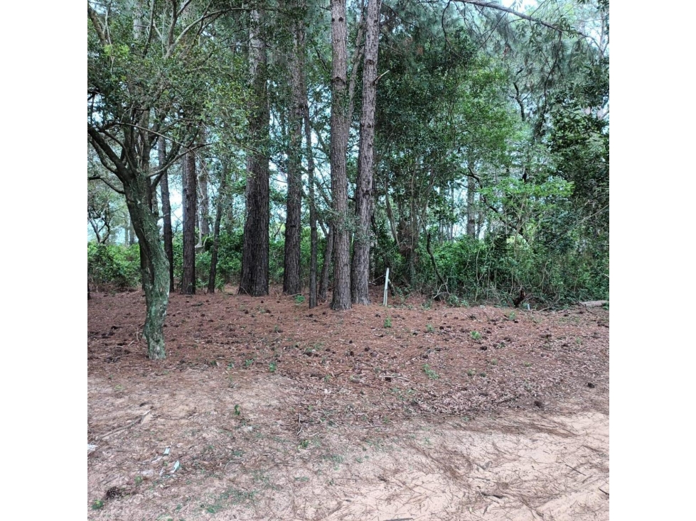 VENDE TERRENO SAN GARA - B° PRIVADO EN ITUZAINGÓ CTES - 4