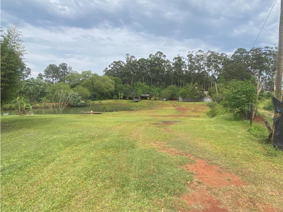 VENDO IMPRESIONANTE GRANJA PESQUE Y PAGUE EN POSADAS MNES — foto 4