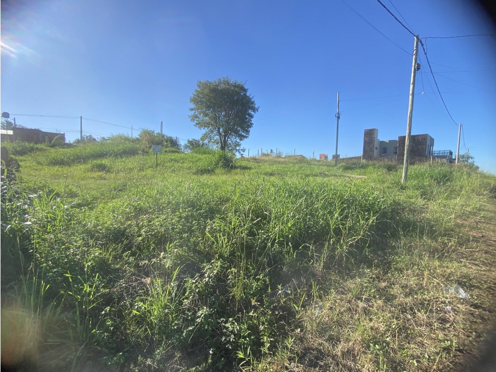SE VENDE TERRENO EN ESQUINA, B VILLA LONGA NORTE GARUPA MISIONES - 5