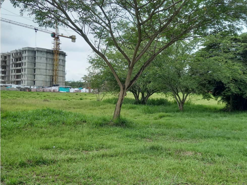VENTA LOTE PANAMERICANA, BOCHALEMA, CALI. — foto 6