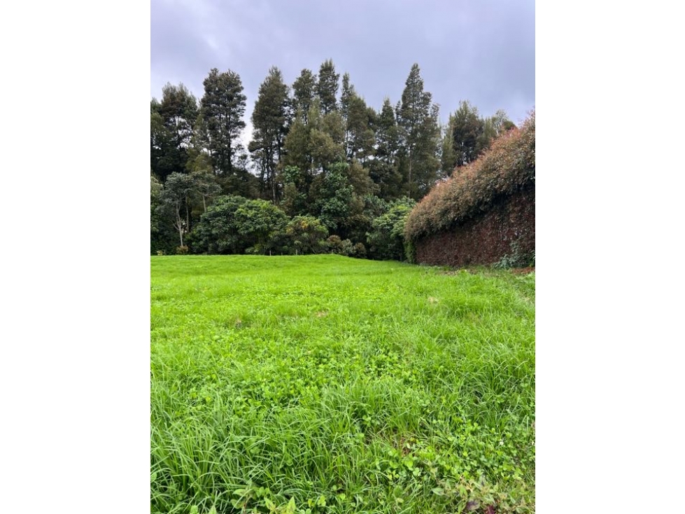 Lote para la venta en el sector de La Acuarela
