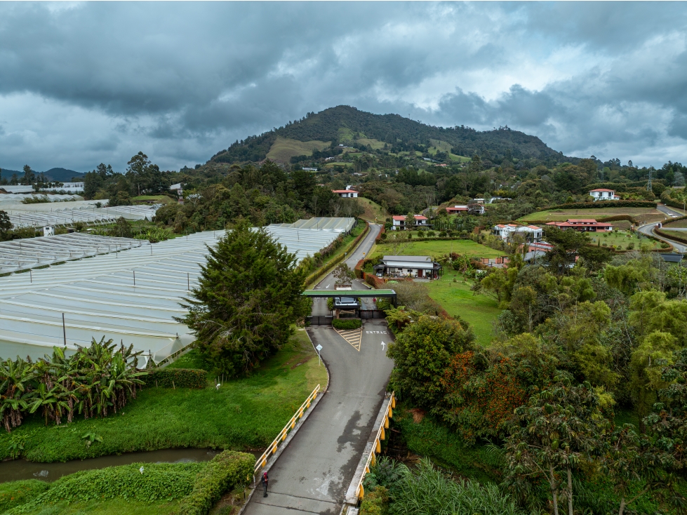 Lote para la venta, La Ceja, vía Rionegro. MM13