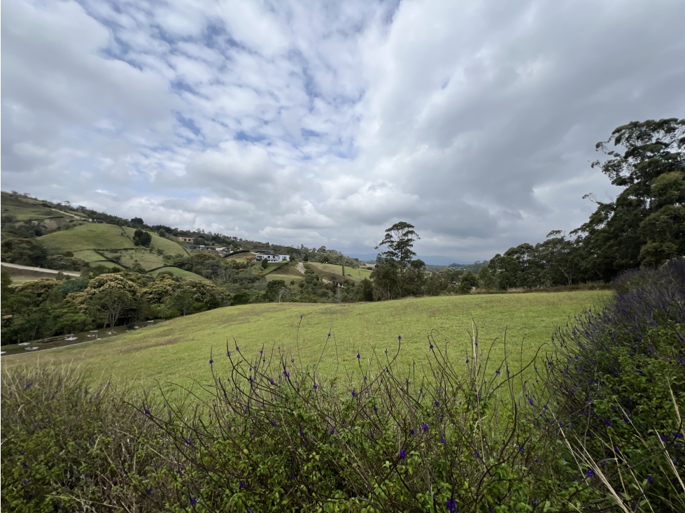 Lote para la venta en Parcelación en Llanogrande, Rionegro, Ant.24 — foto 3